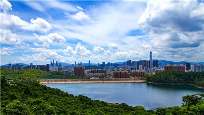 专业服务,多样选择,让您满意无比 专业服务,多样选择,让您满意无比